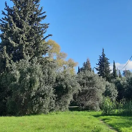 παλατάκι Apartament Patras